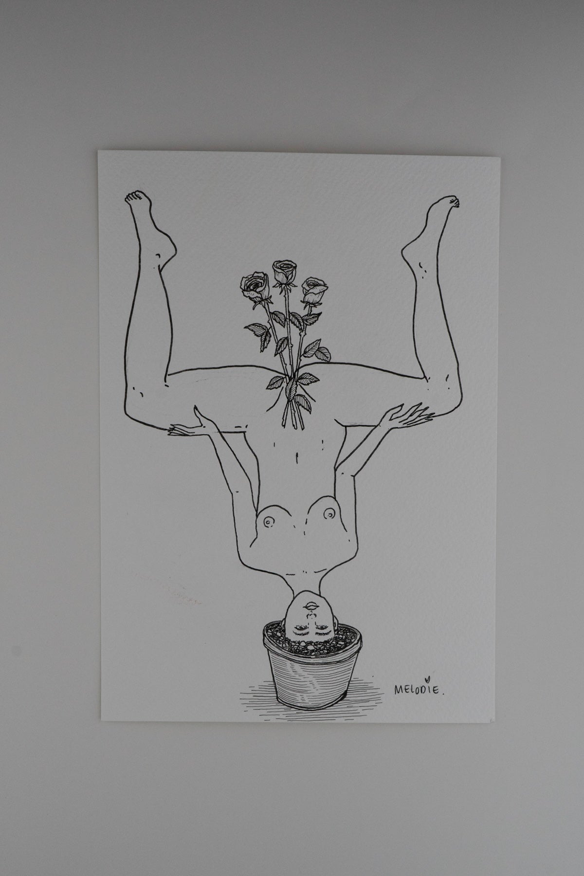" À Fleurs de pot "