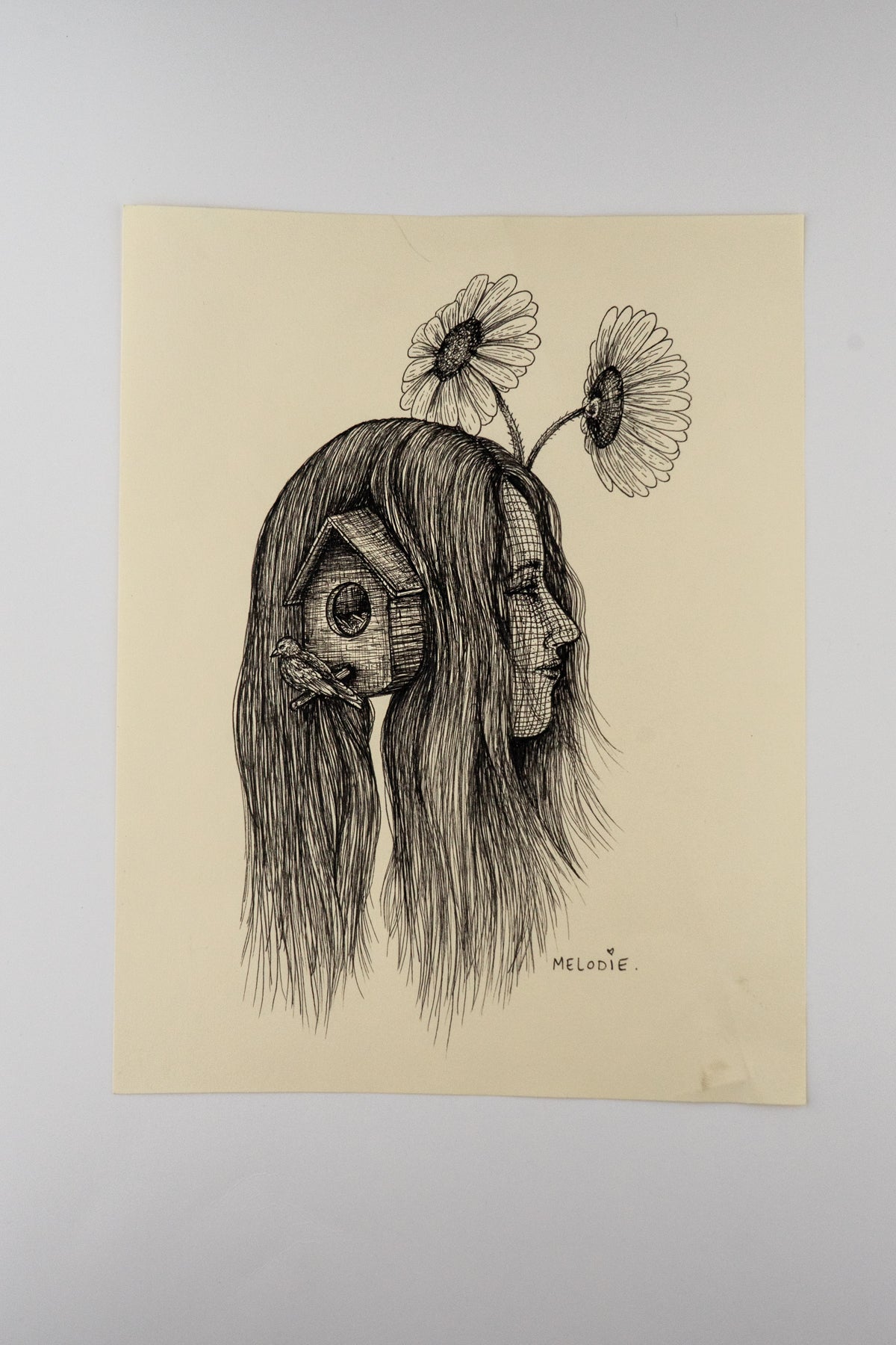 " Bird Cage " Original Artwork