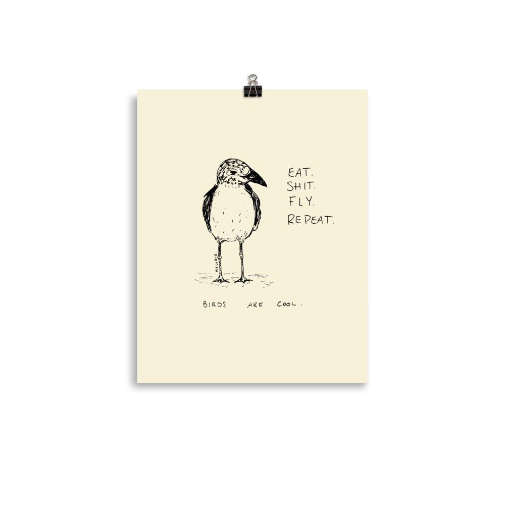" Birds Are Cool " Print/Poster