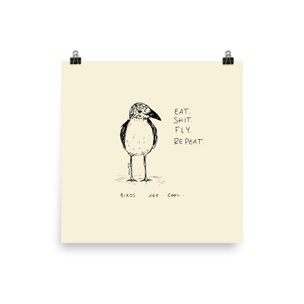 " Birds Are Cool " Print/Poster