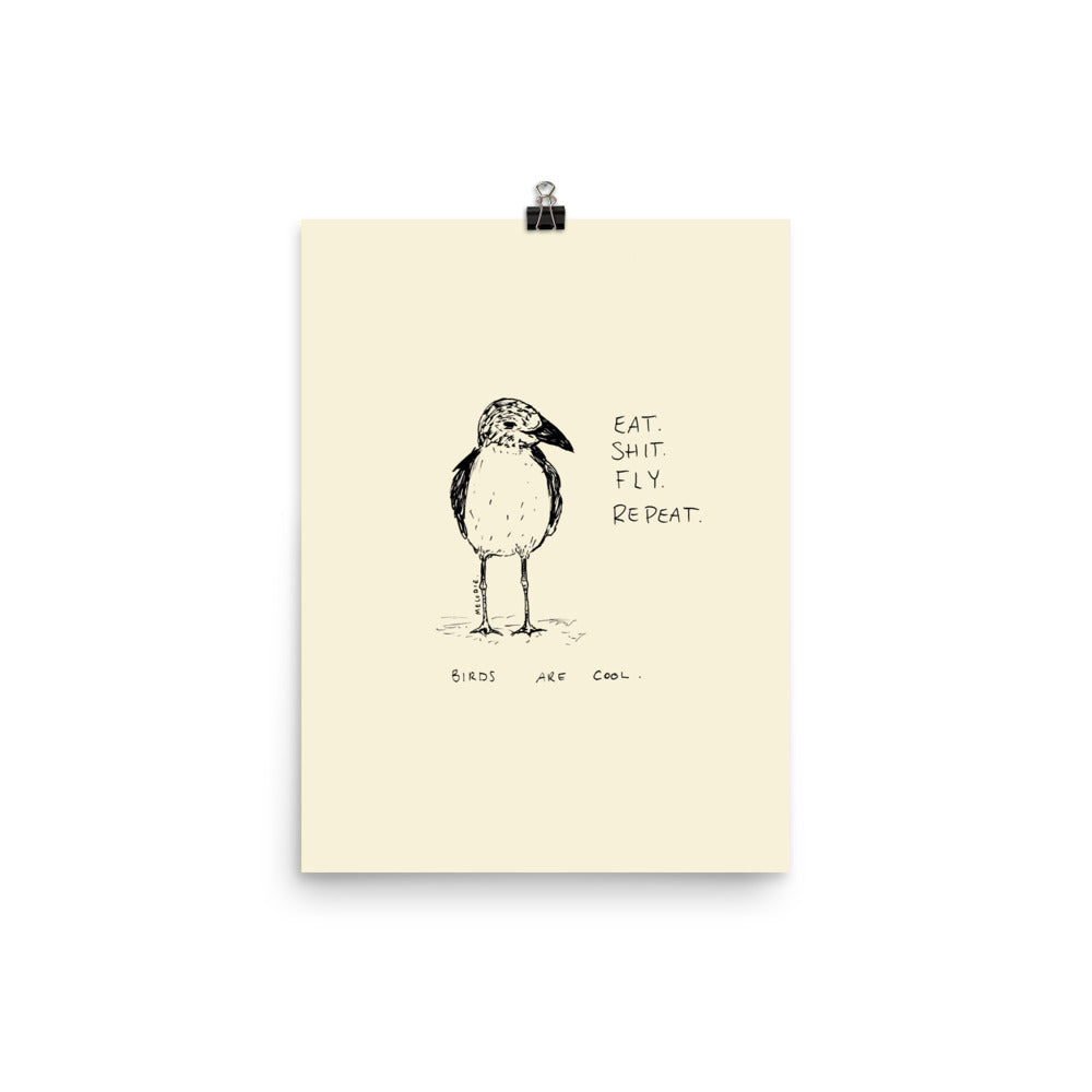 " Birds Are Cool " Print/Poster