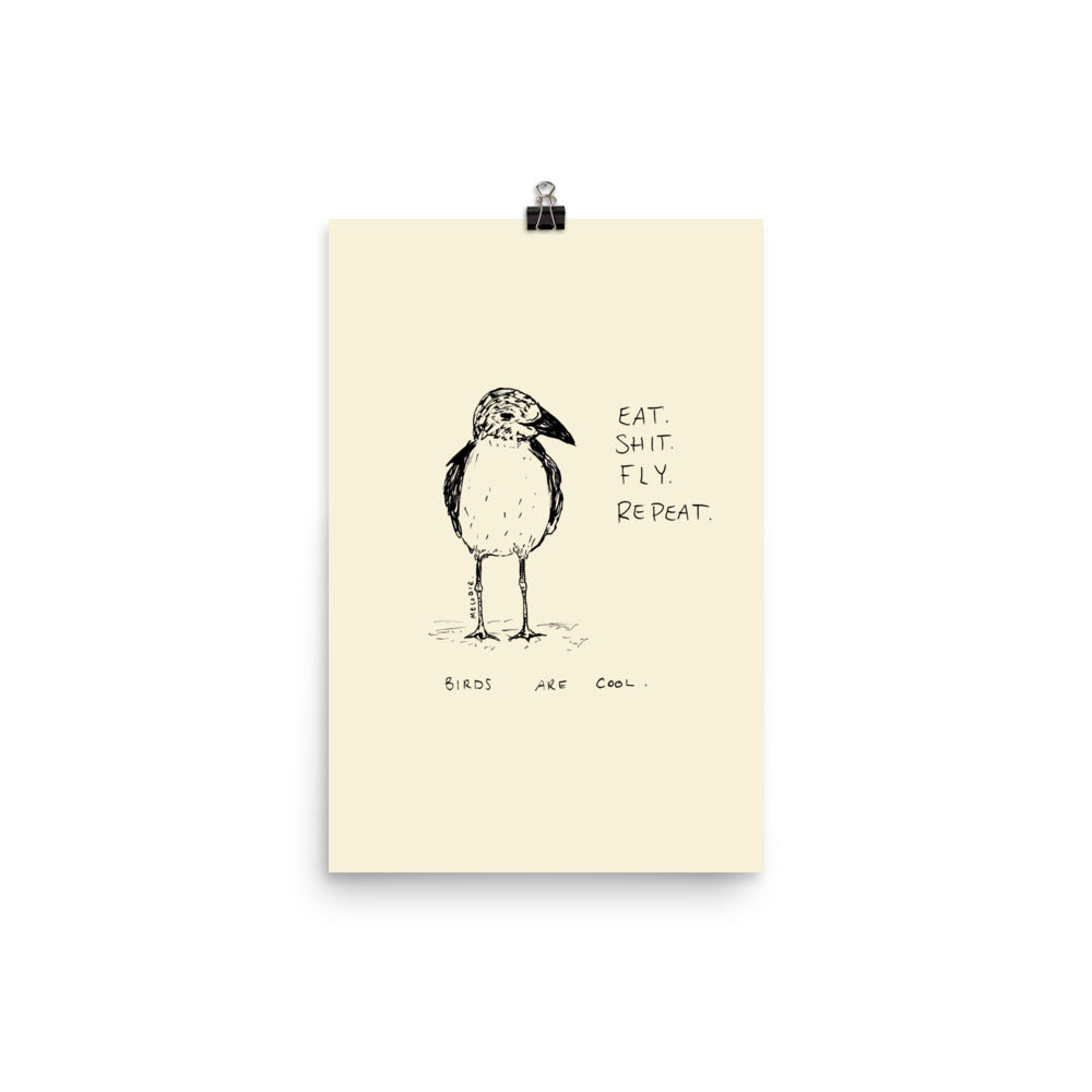 " Birds Are Cool " Print/Poster