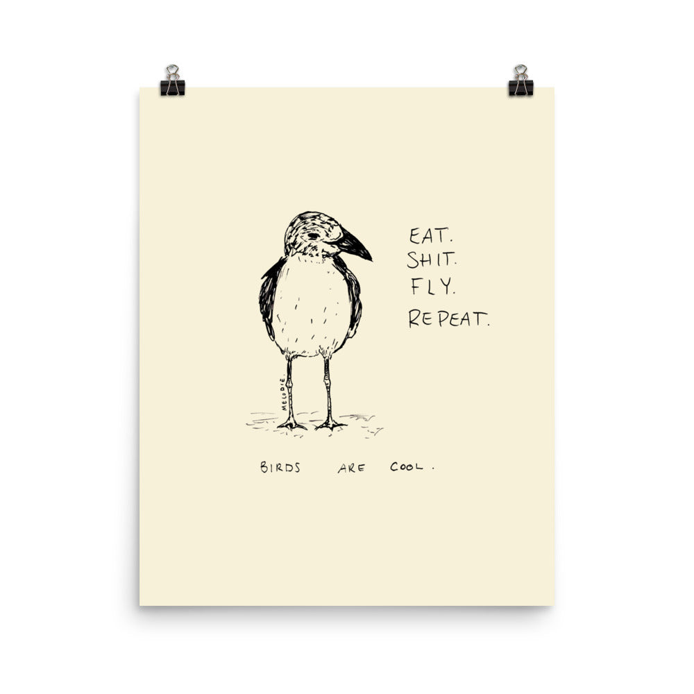 " Birds Are Cool " Print/Poster