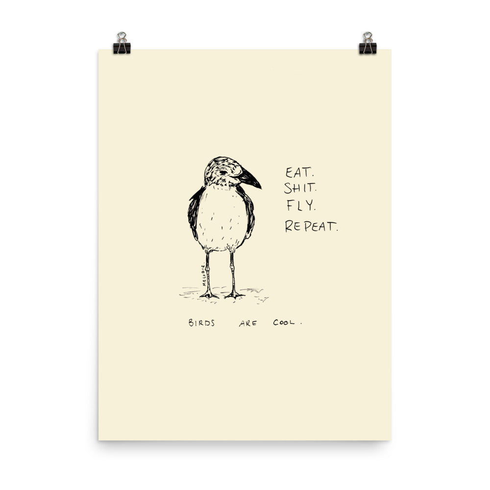 " Birds Are Cool " Print/Poster