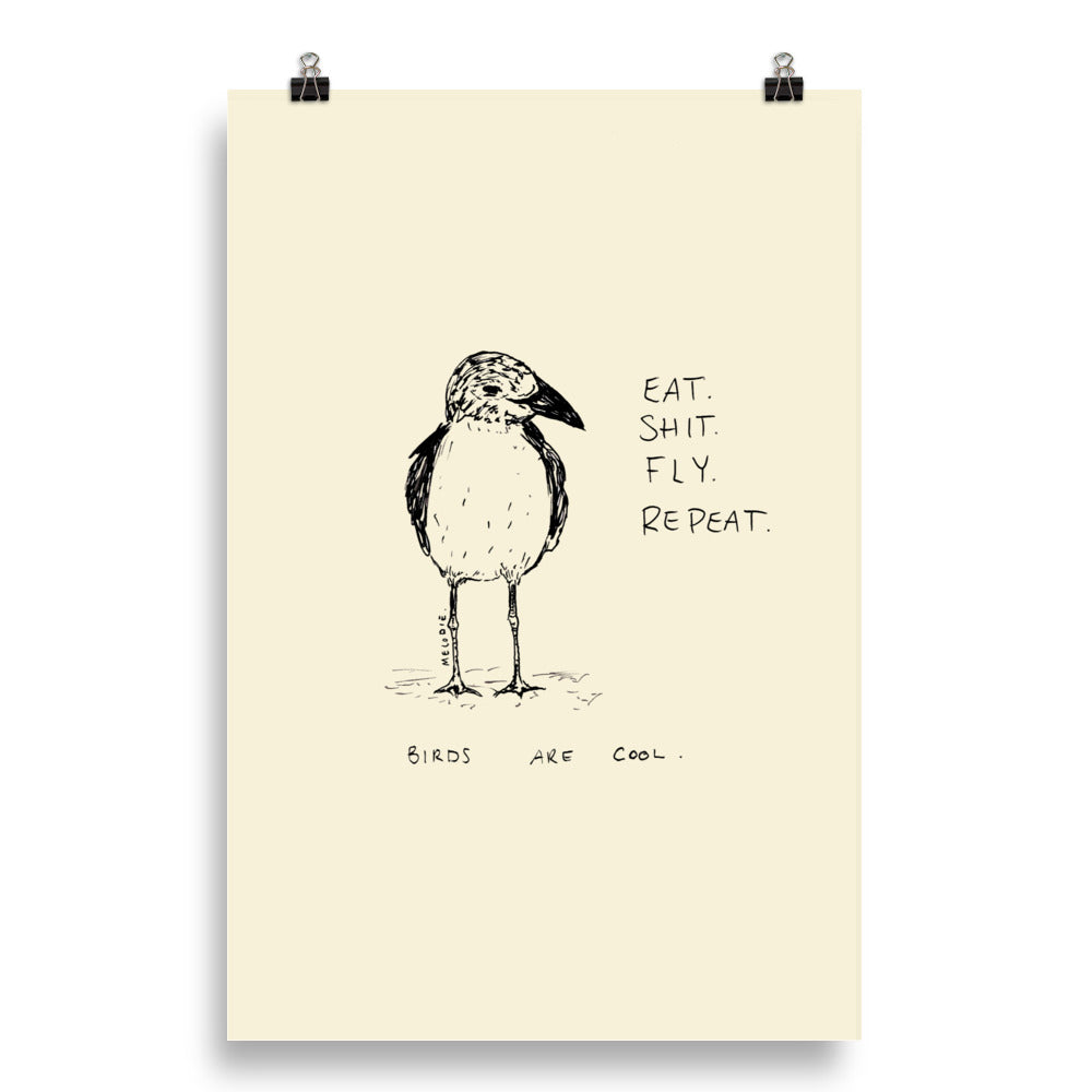 " Birds Are Cool " Print/Poster