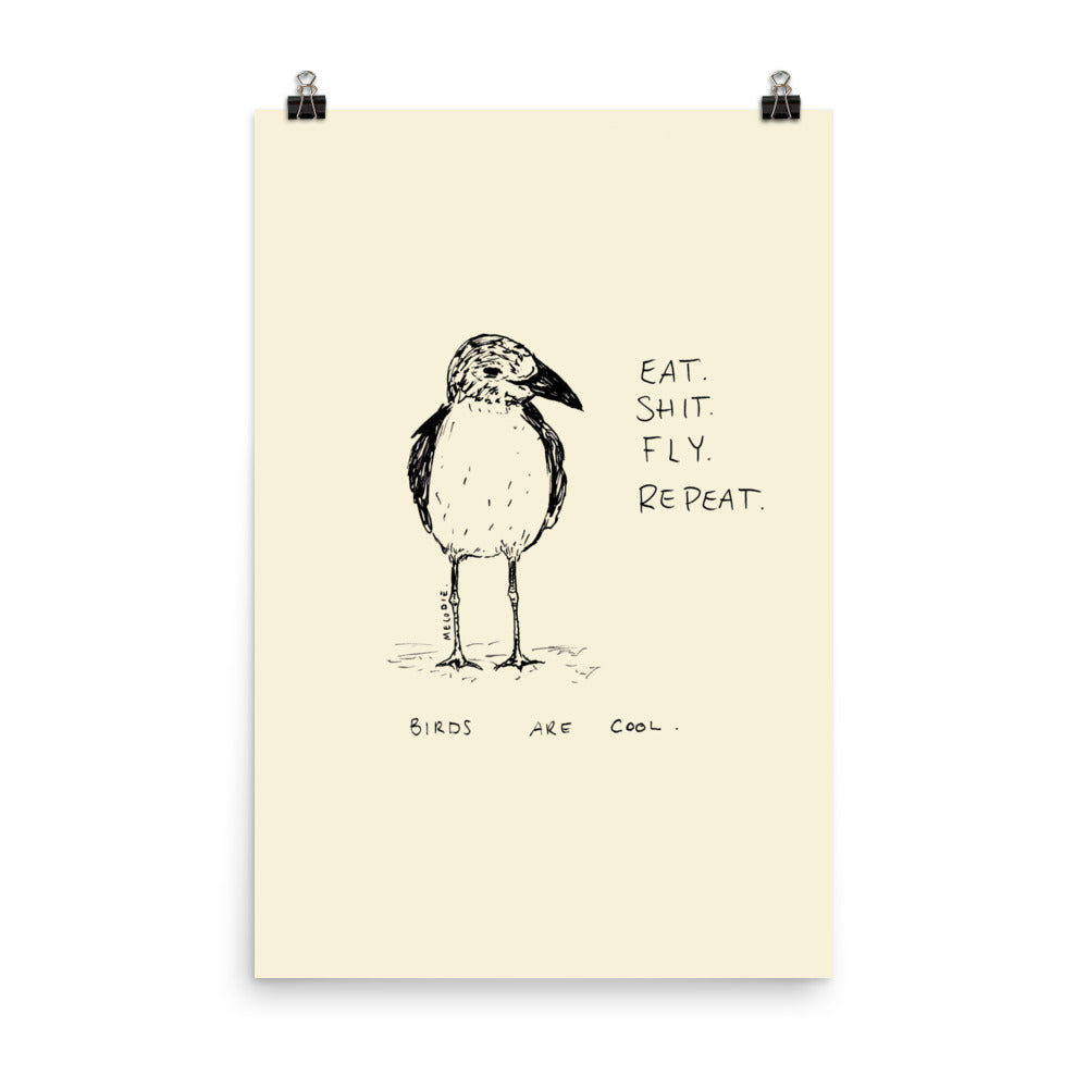 " Birds Are Cool " Print/Poster