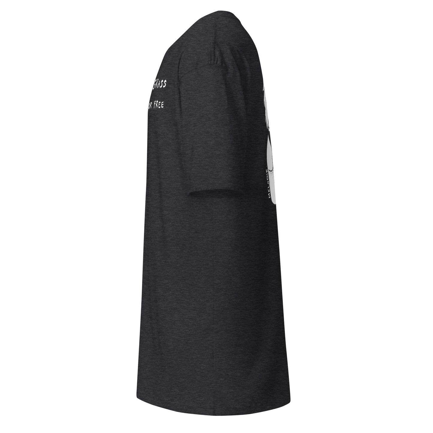 " Ass, Gas Or Grass " Men’s premium heavyweight tee