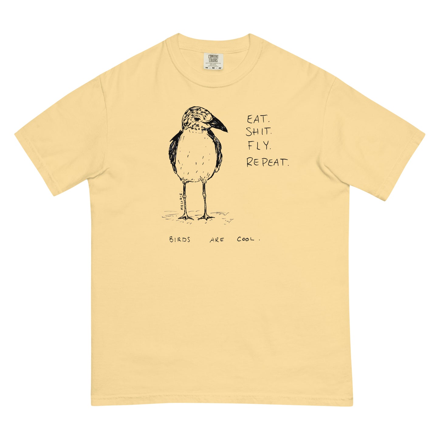 " Birds Are Cool " Unisex garment-dyed heavyweight t-shirt