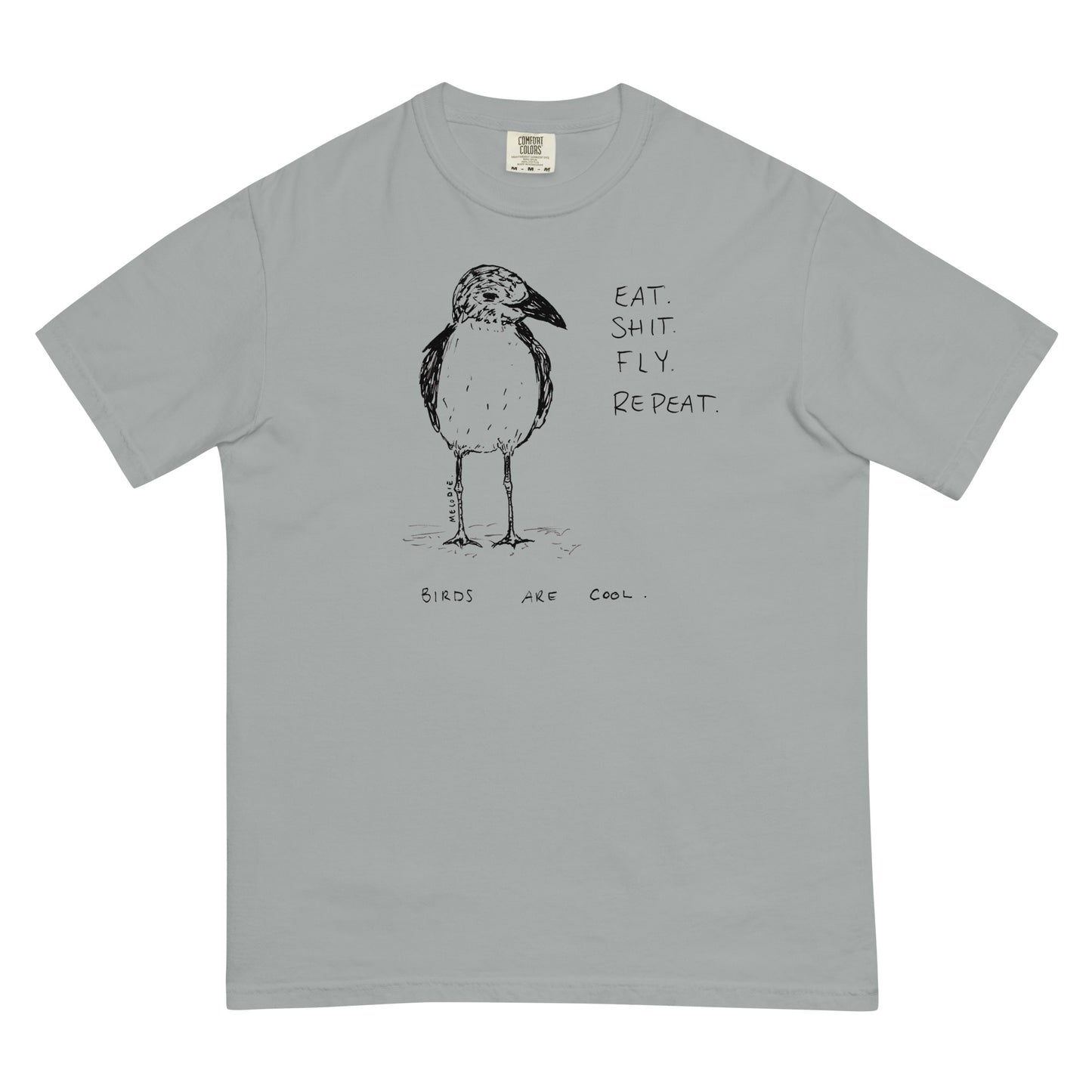 " Birds Are Cool " Unisex garment-dyed heavyweight t-shirt