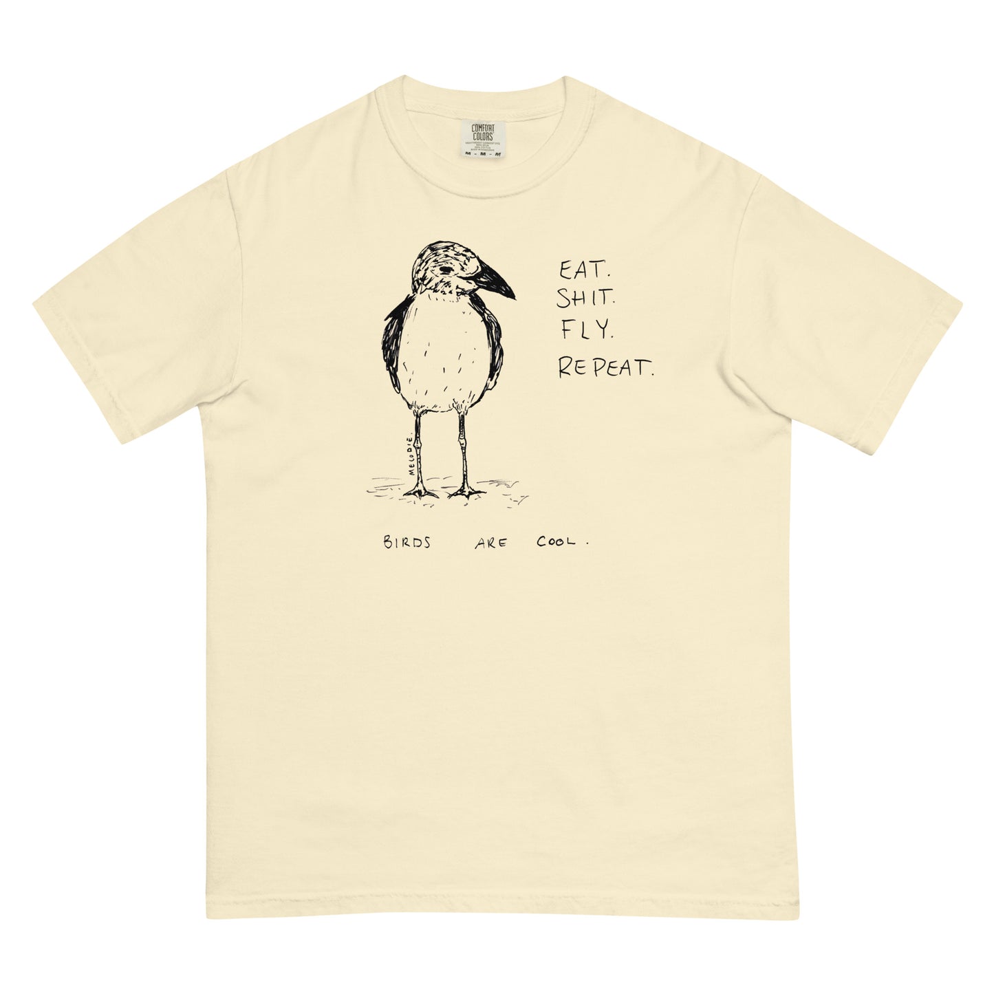 " Birds Are Cool " Unisex garment-dyed heavyweight t-shirt
