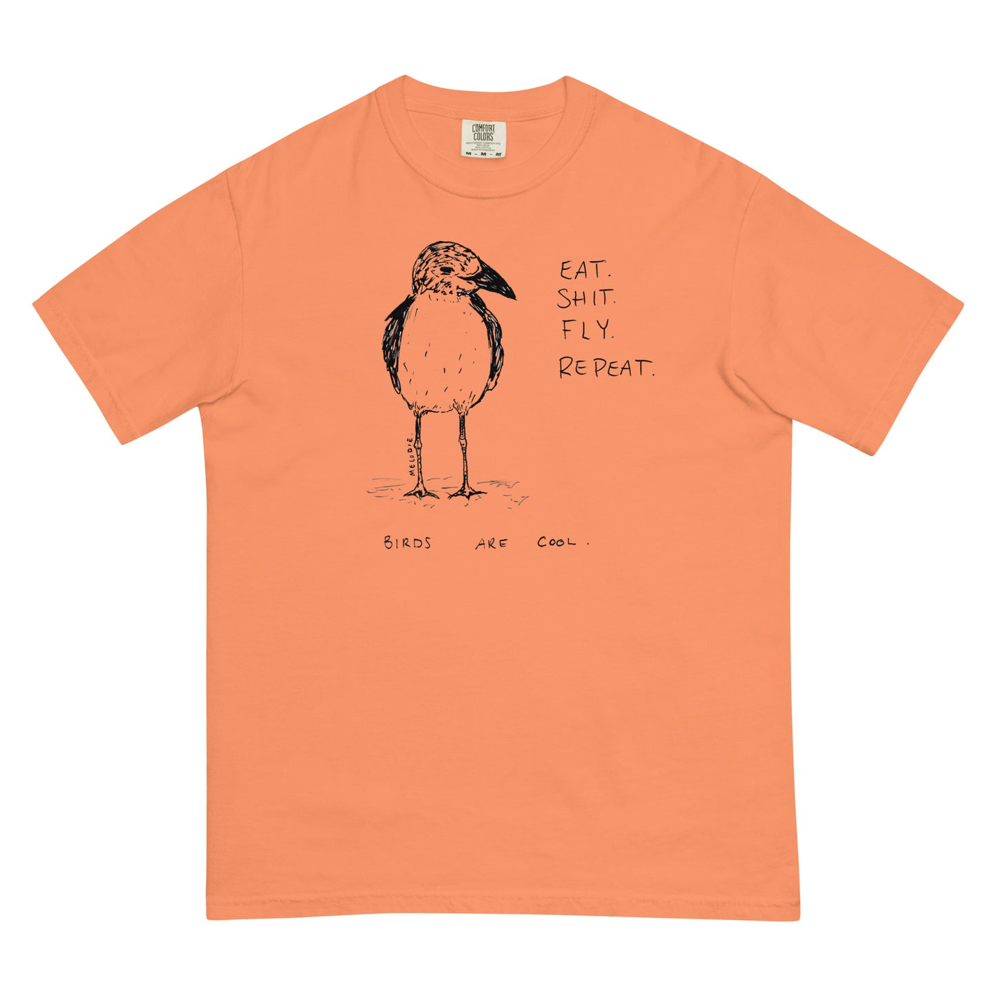 " Birds Are Cool " Unisex garment-dyed heavyweight t-shirt