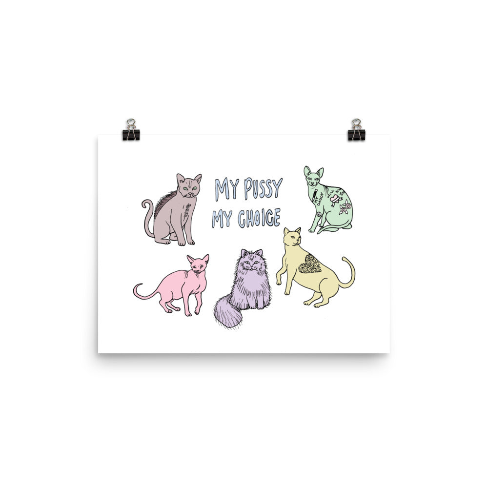 " My Pussy My Choice " Print / Poster