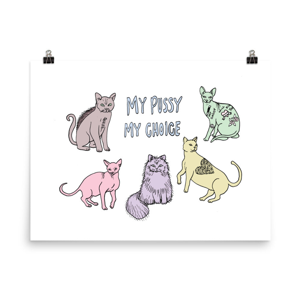 " My Pussy My Choice " Print / Poster
