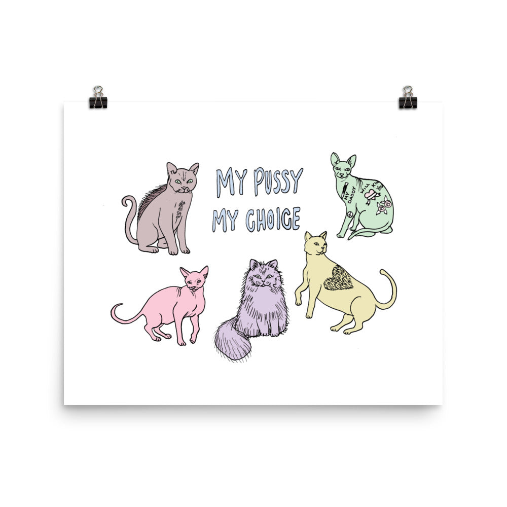 " My Pussy My Choice " Print / Poster