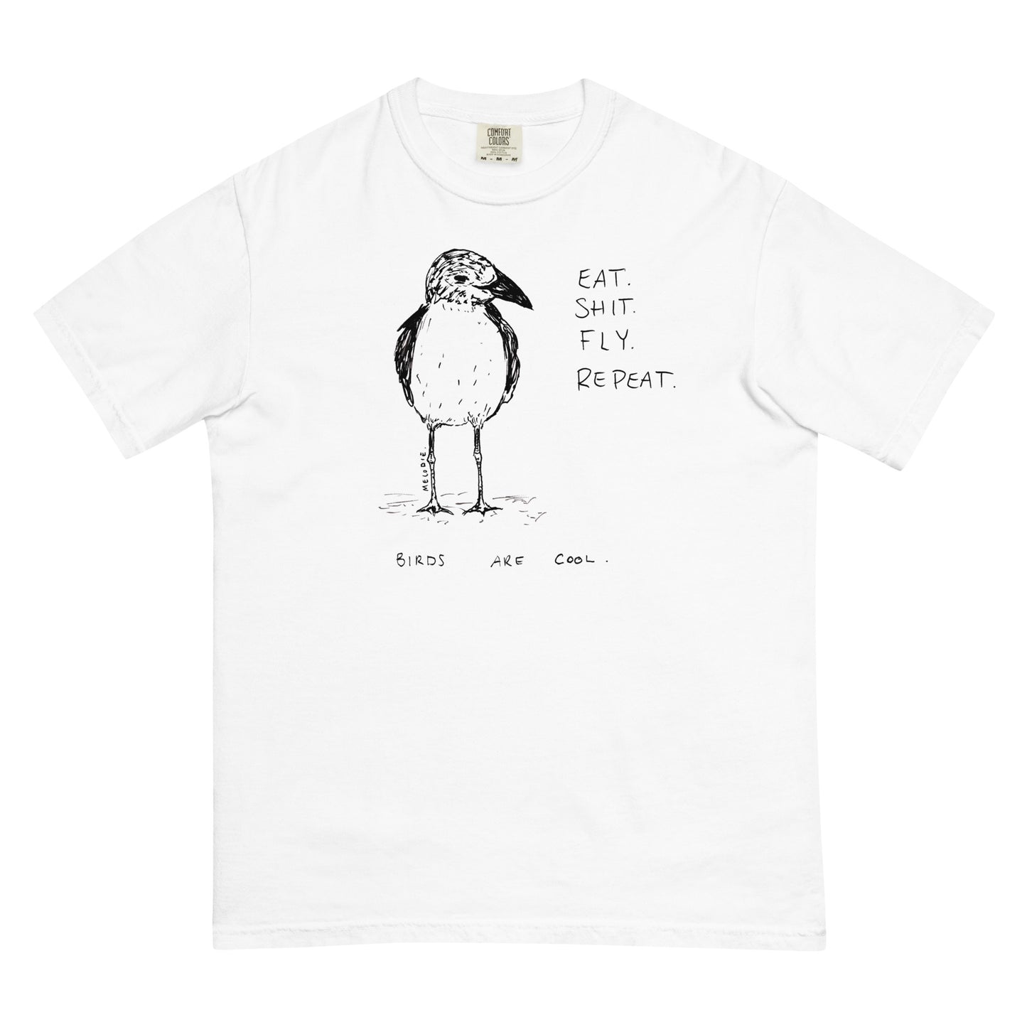 " Birds Are Cool " Unisex garment-dyed heavyweight t-shirt