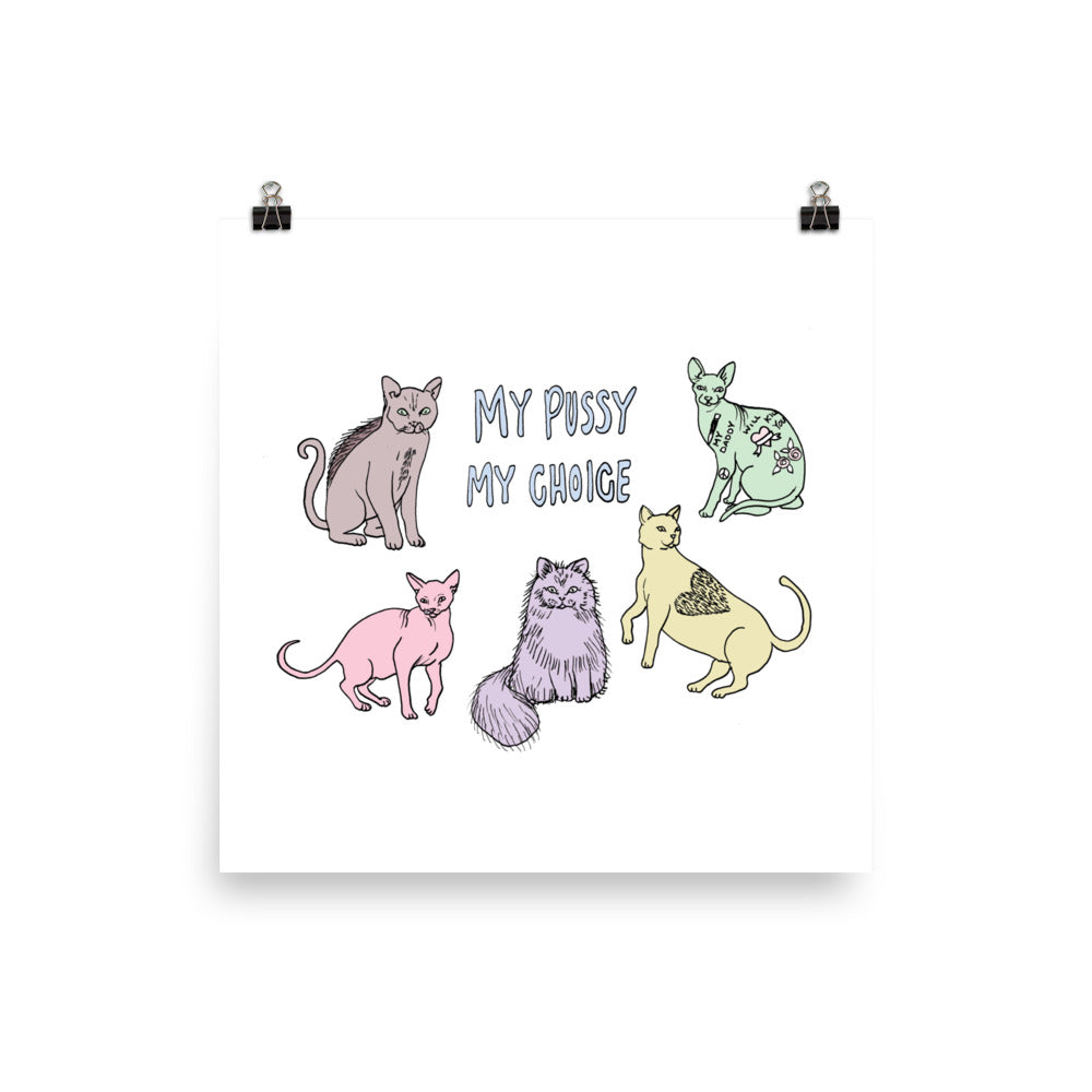 " My Pussy My Choice " Print / Poster